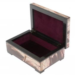 Шкатулка из камня окаменелое дерево 12х8х4,5 см