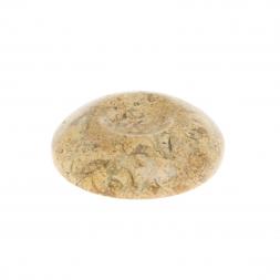 Подставка под шар/яйцо из ракушечника 5х5х1 см (2)